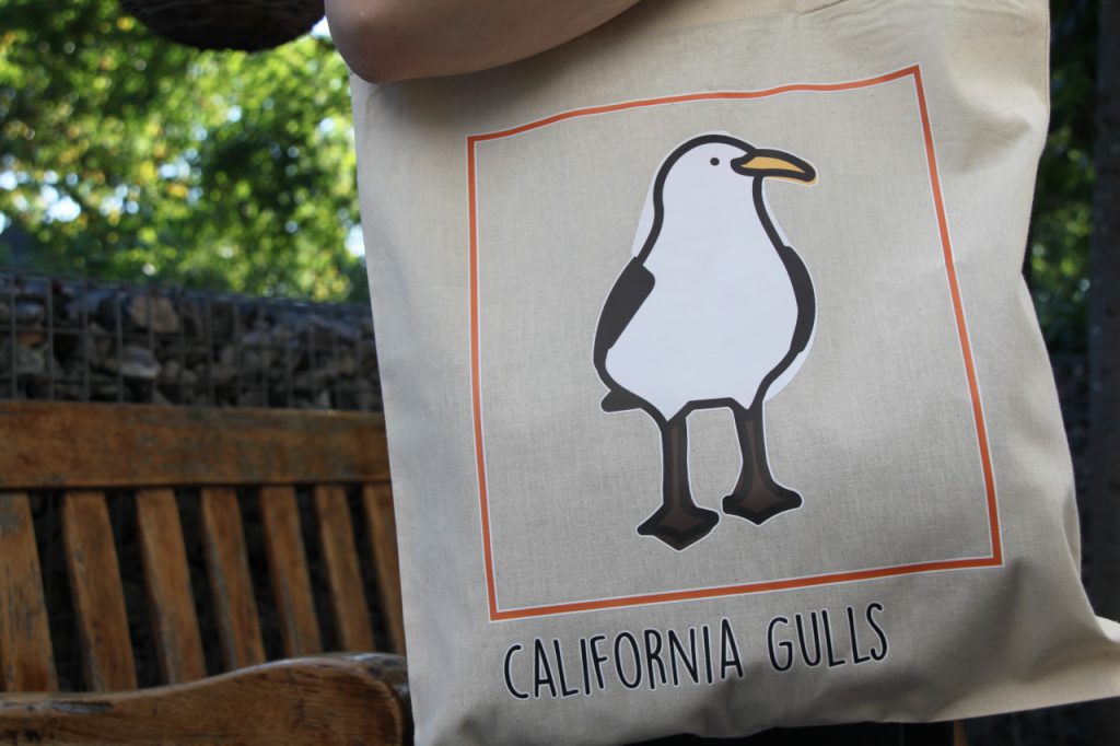 California Gulls